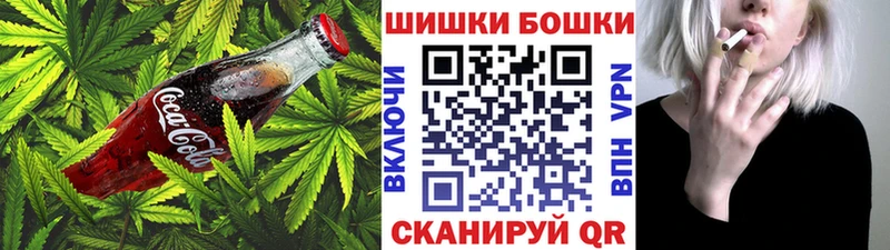 MEGA вход  Гаджиево  darknet Telegram  Печенье с ТГК марихуана 