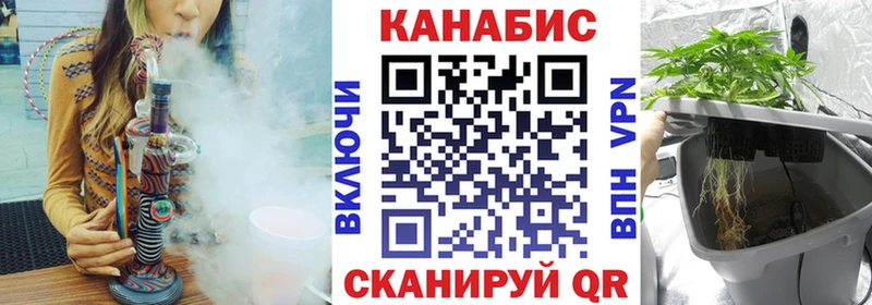 хочу   Гаджиево  Канабис VHQ 